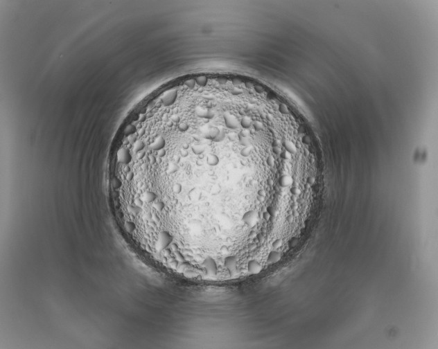 X0000091310839200709071112