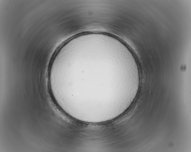 X0000091310840200709071112