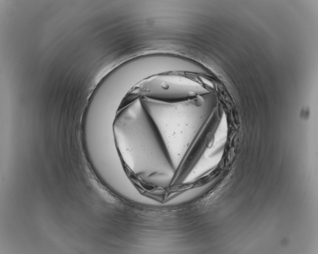 X0000091310842200709071112