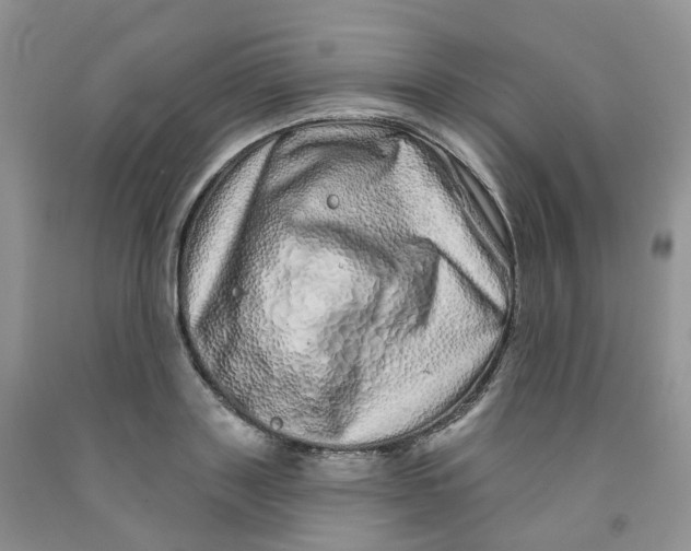 X0000091310843200709071112