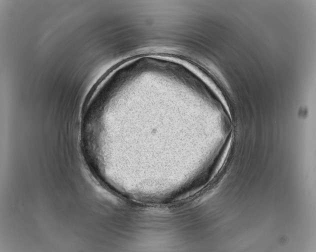 X0000091310844200709071112