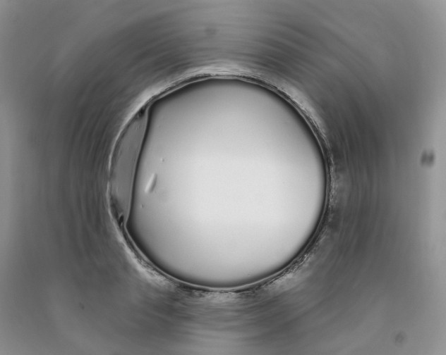 X0000091310845200709071112