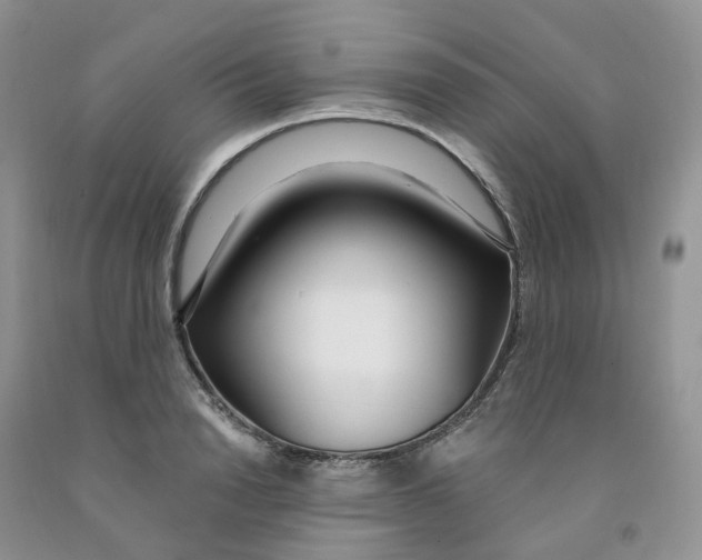 X0000091310846200709071112