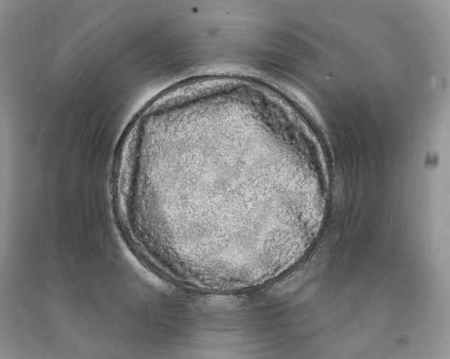 X0000091310847200709071112