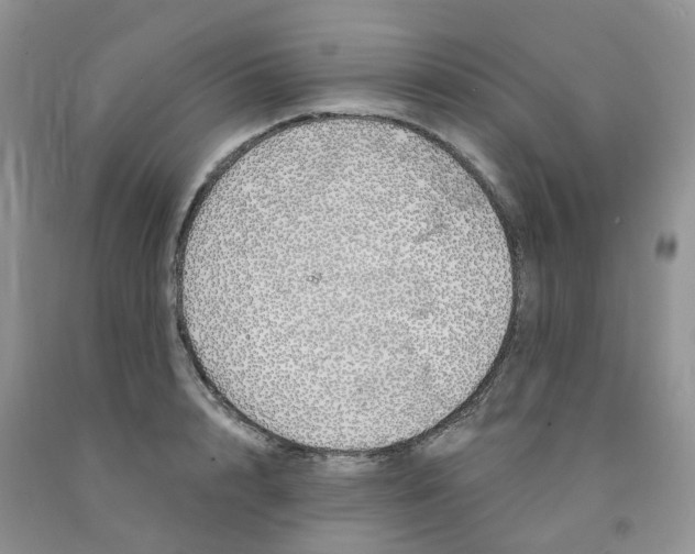 X0000091310848200709071112