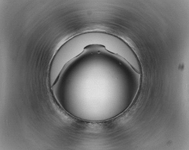 X0000091310850200709071112