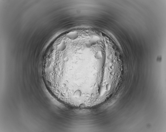 X0000091310851200709071112