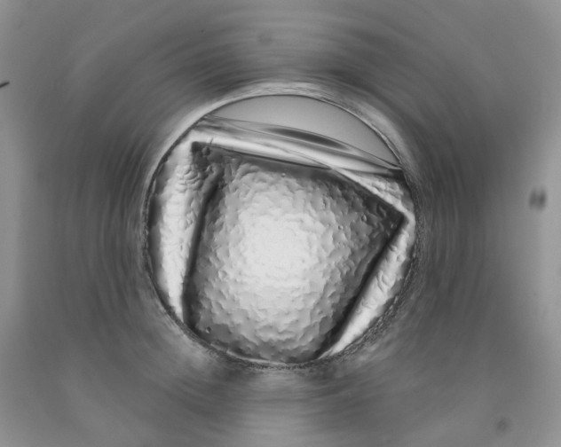 X0000091310852200709071112