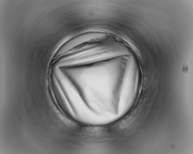 X0000091310853200709071112