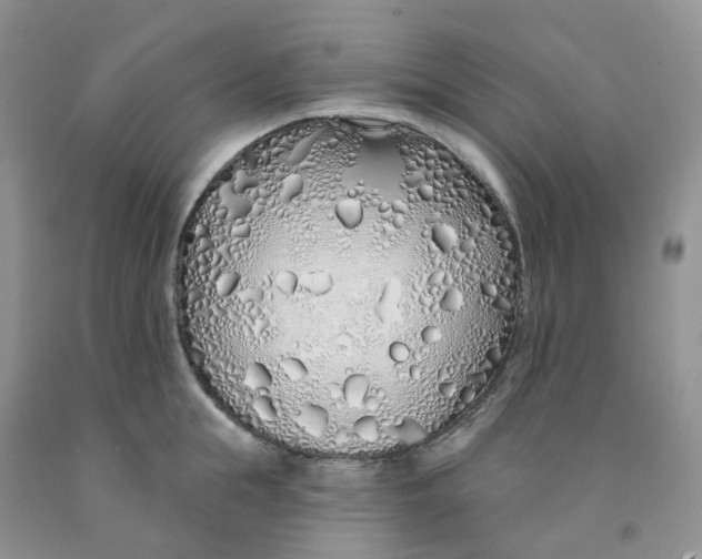 X0000091310855200709071112