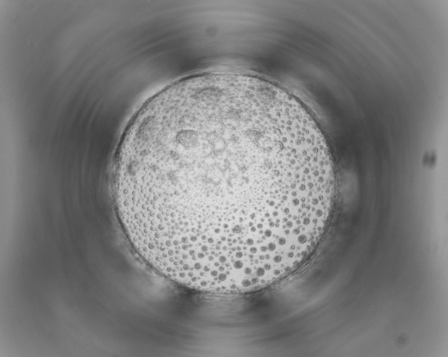 X0000091310856200709071112