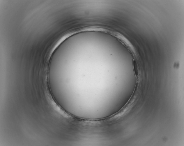 X0000091310860200709071112