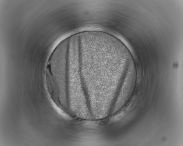 X0000091310861200709071112