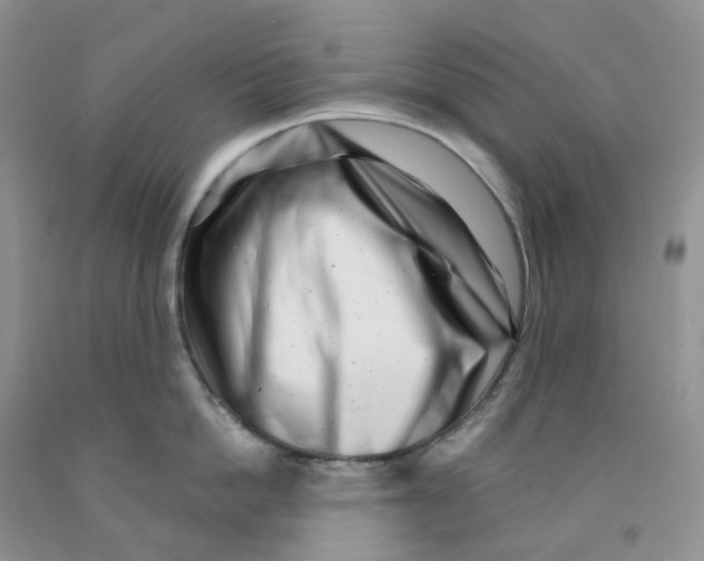 X0000091310862200709071112