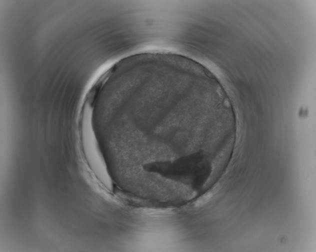 X0000091310864200709071112