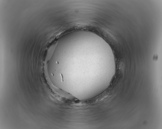 X0000091310868200709071112