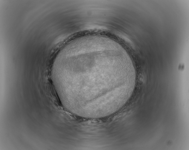 X0000091310869200709071112