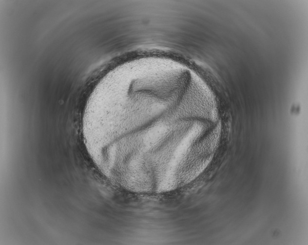 X0000091310870200709071112