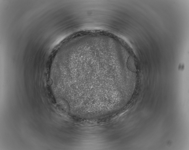 X0000091310871200709071112