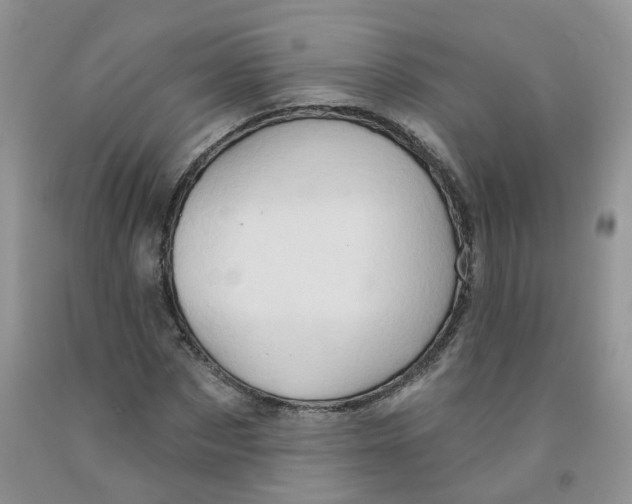 X0000091310873200709071112