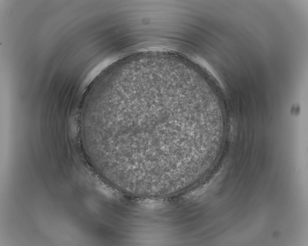 X0000091310874200709071112