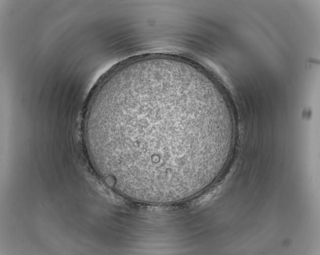 X0000091310875200709071112