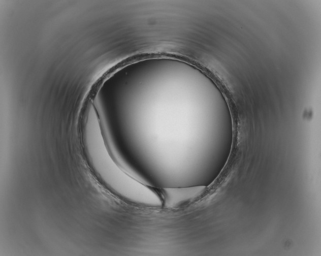 X0000091310876200709071112