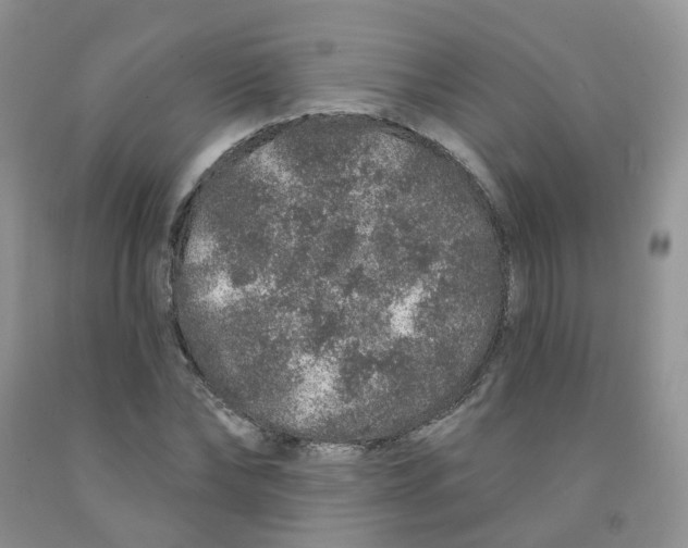 X0000091310878200709071112