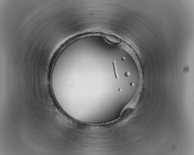 X0000091310880200709071112