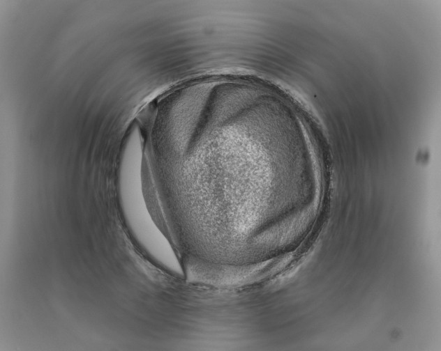 X0000091310881200709071112