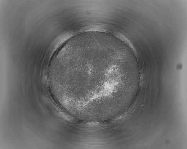 X0000091310882200709071112