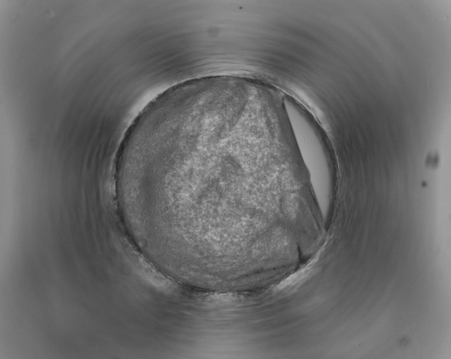 X0000091310883200709071112