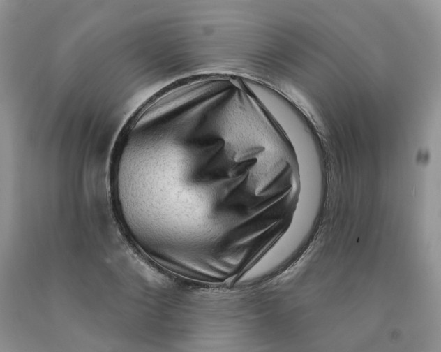 X0000091310884200709071112