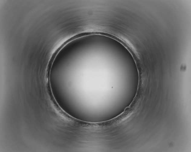 X0000091310885200709071111