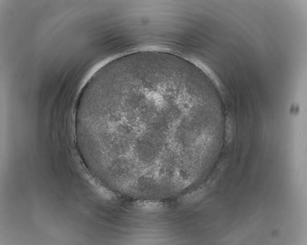 X0000091310886200709071111