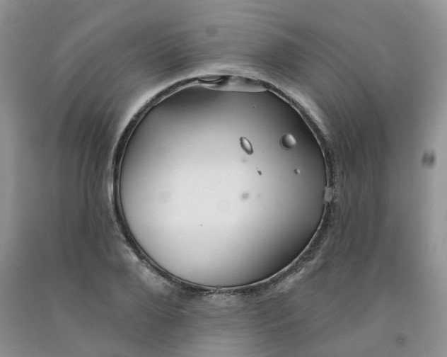 X0000091310888200709071111