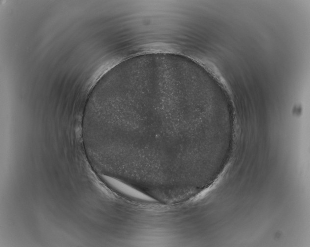 X0000091310889200709071111