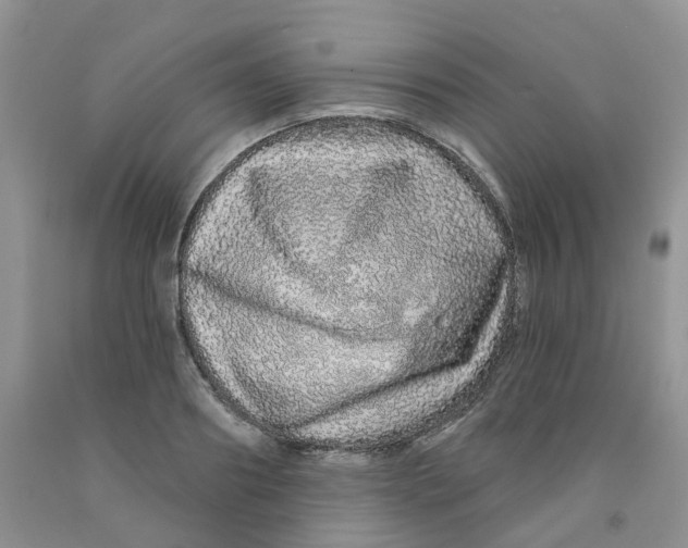 X0000091310890200709071111