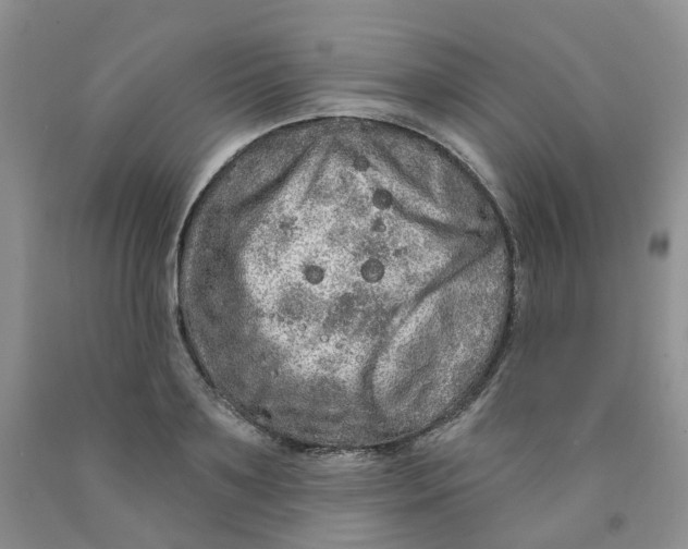 X0000091310891200709071111