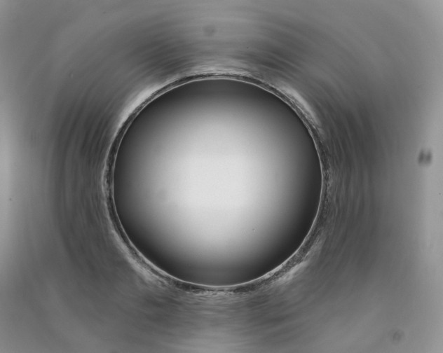 X0000091310893200709071111