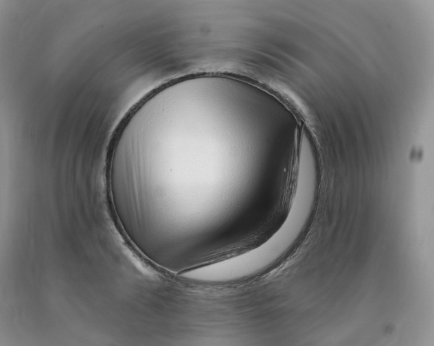 X0000091310894200709071111