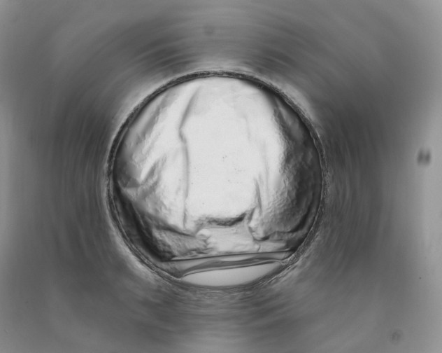 X0000091310895200709071111