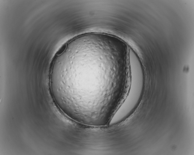 X0000091310896200709071111