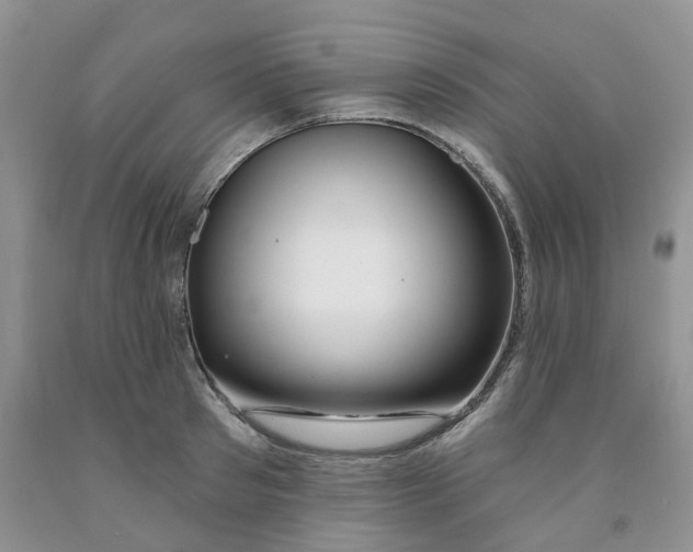 X0000091310897200709071111