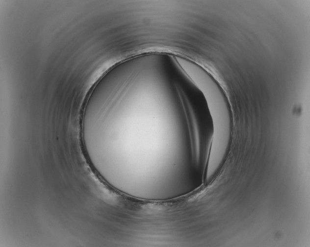 X0000091310898200709071111