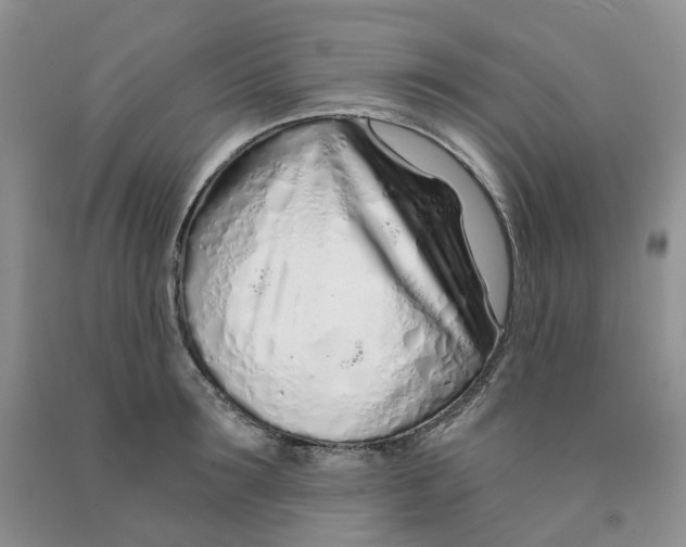 X0000091310899200709071111