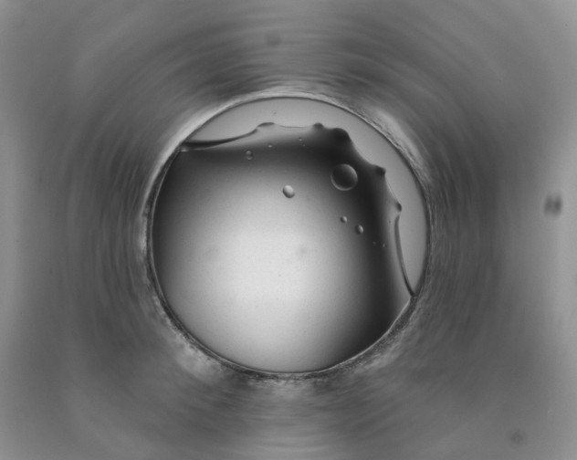 X0000091310900200709071111