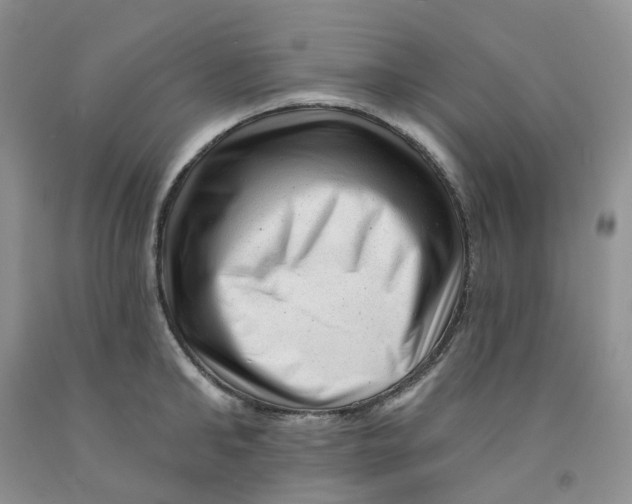 X0000091310902200709071111