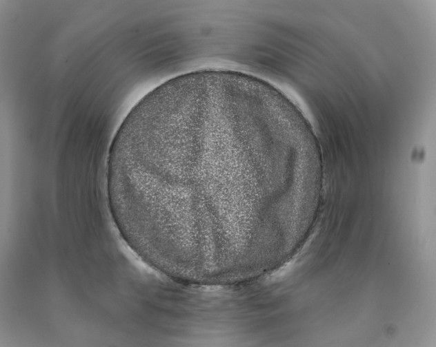 X0000091310903200709071111