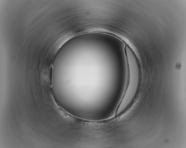 X0000091310905200709071111